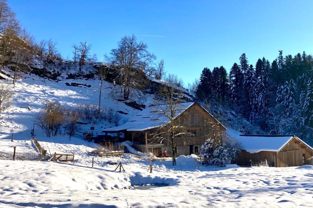 Photo of Others in Vennes