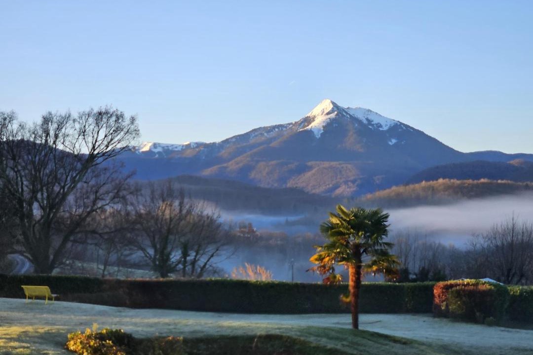 Photo of Others in Estadens