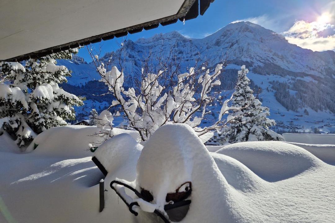 Photo of Others in Adelboden