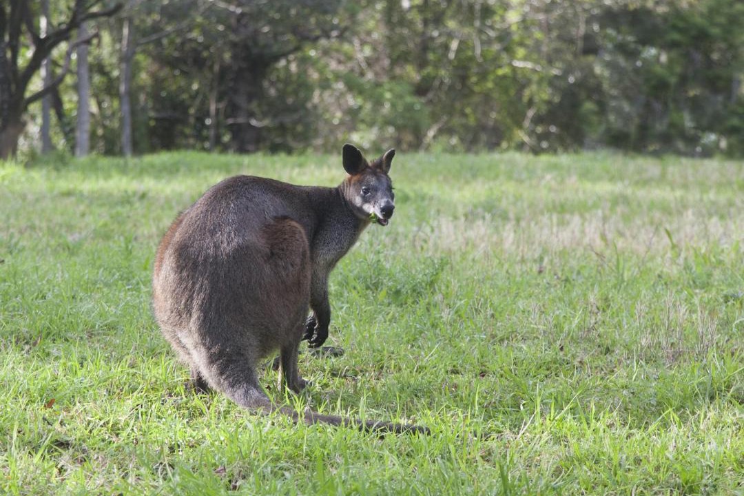 Photo of Others in Broughton Vale
