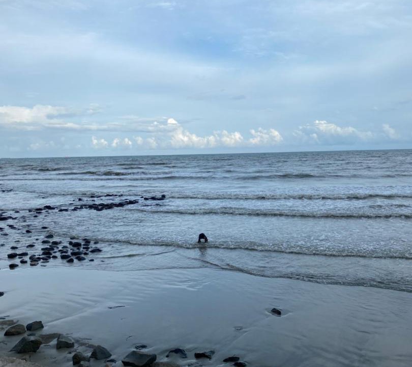 Photo of Others in Kampung Pantai Batu Hitam