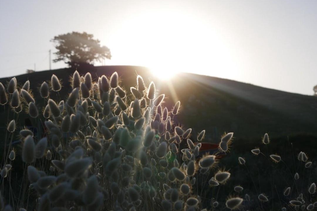 Photo of Others in Hot Water Beach