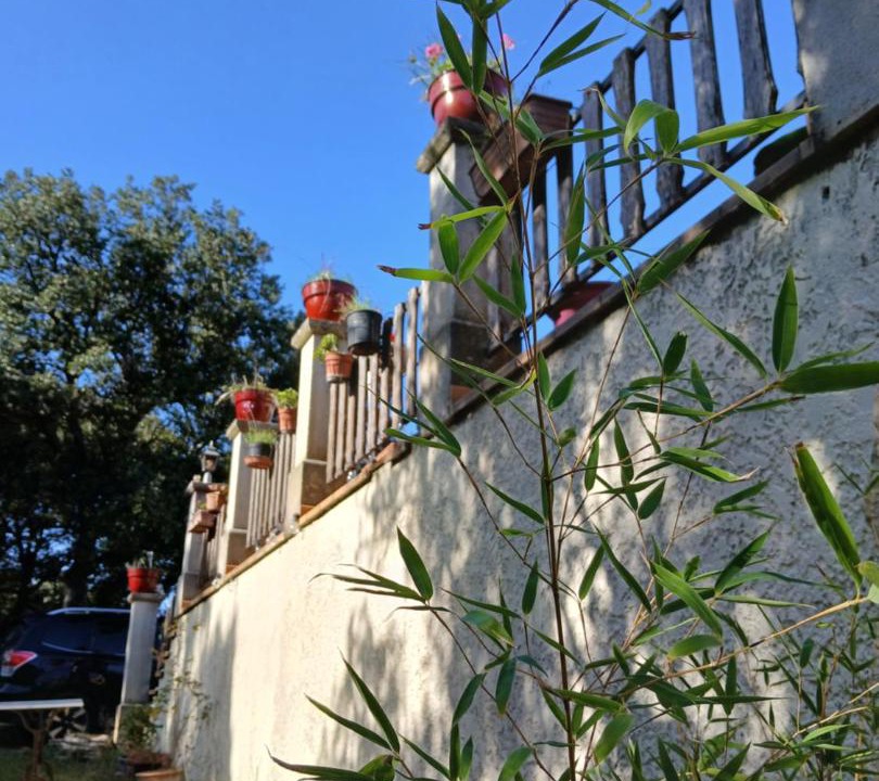 Photo of Others in Colonzelle