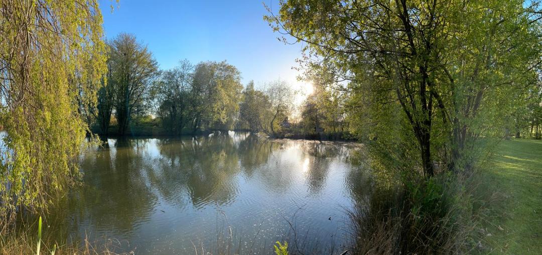 Photo of Others in Abbess Roding