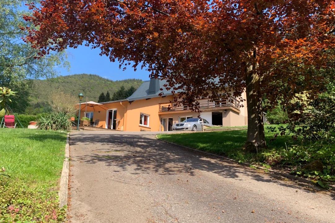 Photo of Others in Dambach