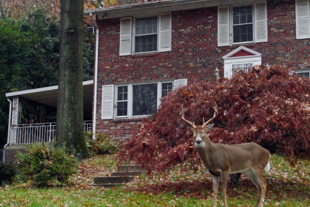 Photo of Others in Crestwood