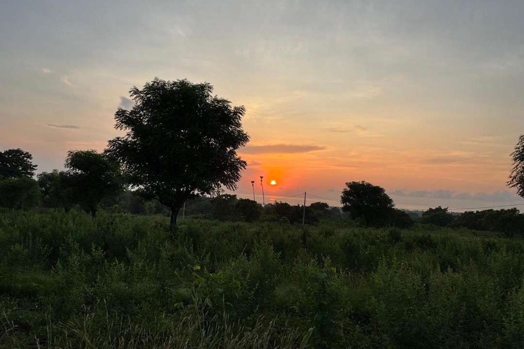 Photo of Others in Abang