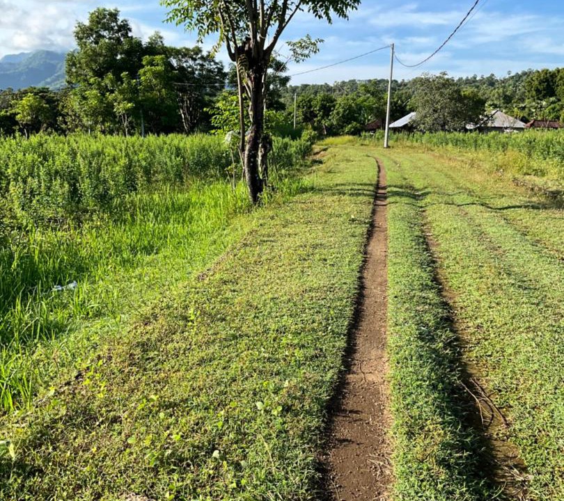 Photo of Outdoor in Abang