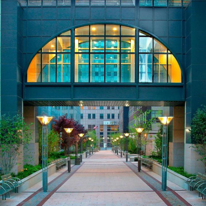 Photo of Others in Downtown Brooklyn