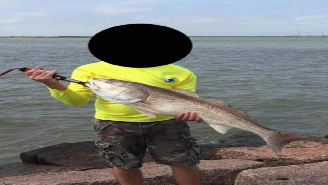 Photo of Others in Texas City