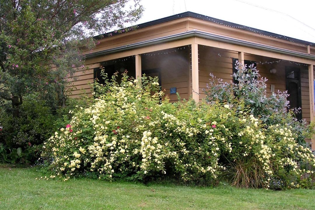 Photo of Buildings in Lorne