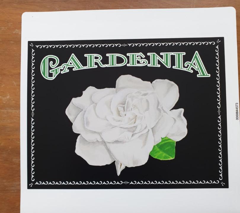 Photo of Others in Villenauxe-la-Grande