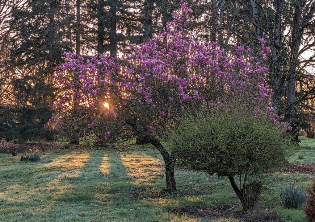 Photo of Outdoor in Dompierre-sur-Veyle