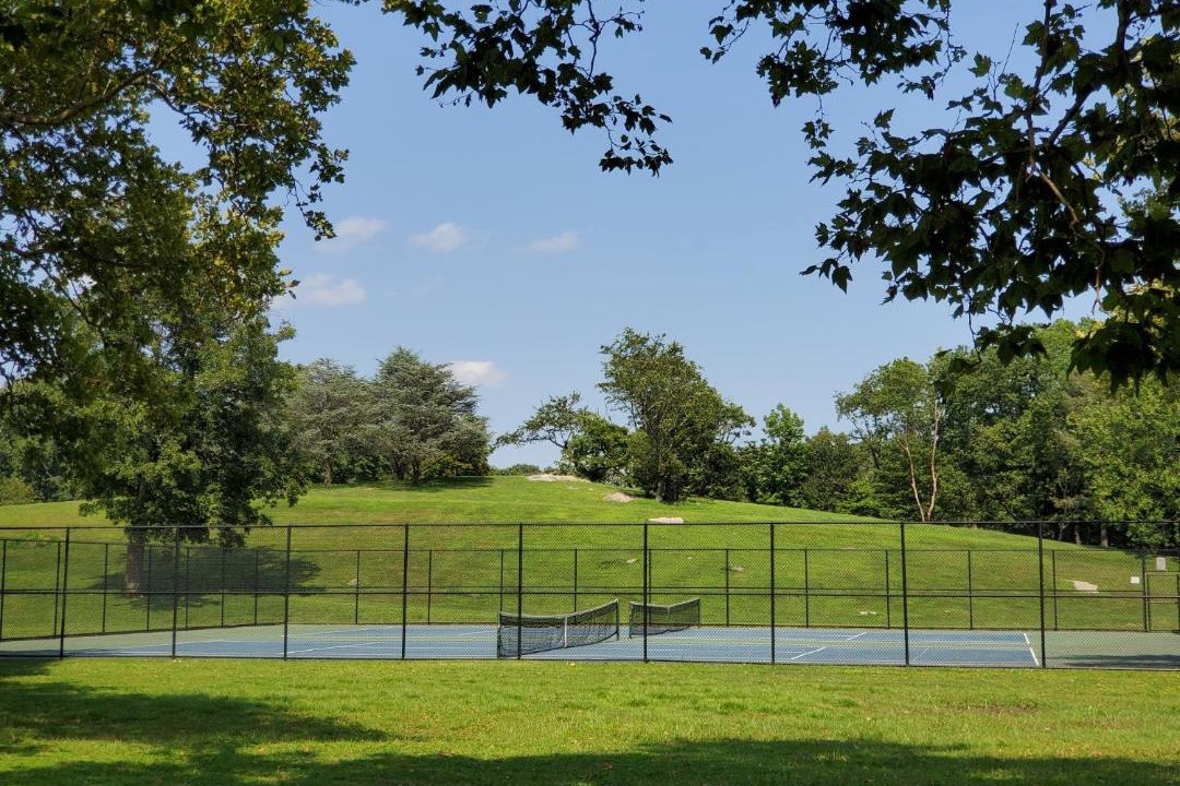 Photo of Others in Cove - East Side - Shippan