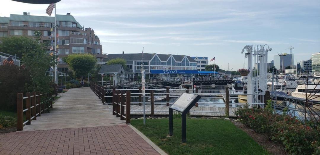 Photo of Others in Cove - East Side - Shippan