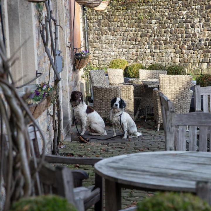 Photo of Others in Clitheroe