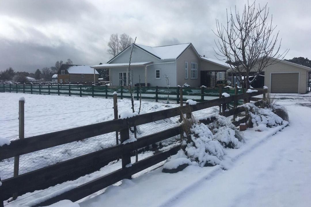 Photo of Others in Rangataua