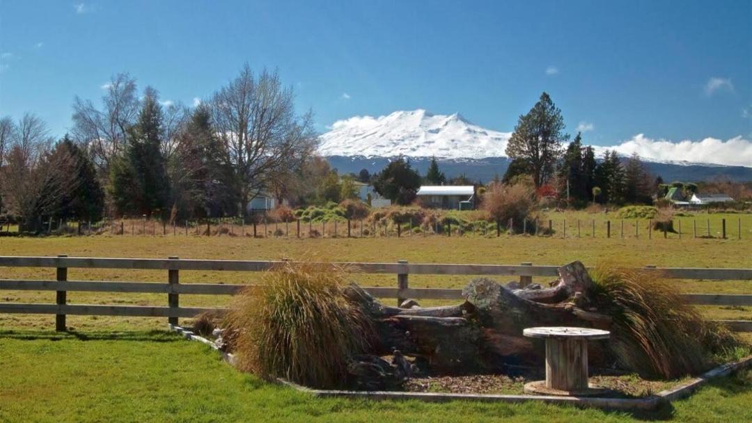 Photo of Others in Rangataua