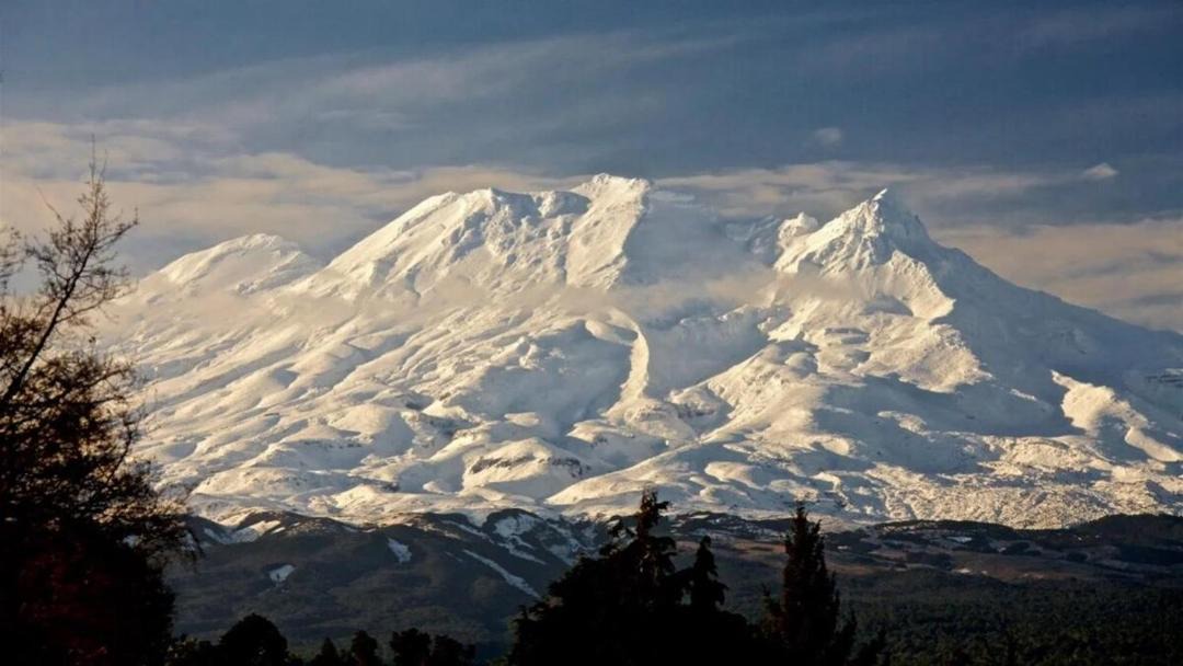 Photo of Others in Rangataua