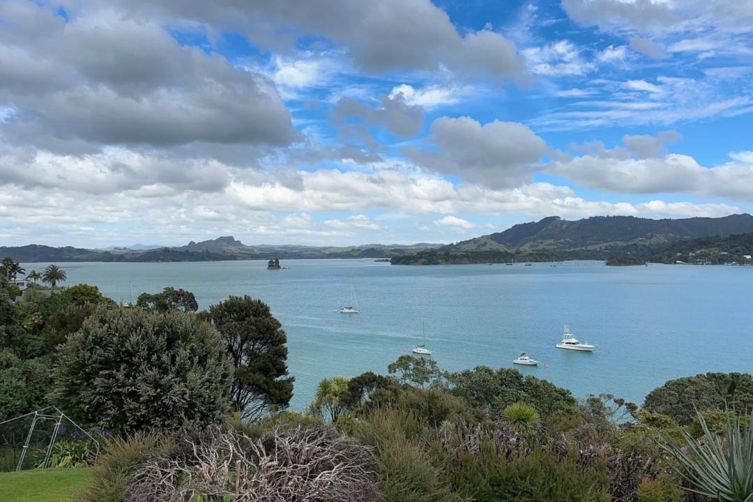 Photo of Others in Whangaroa