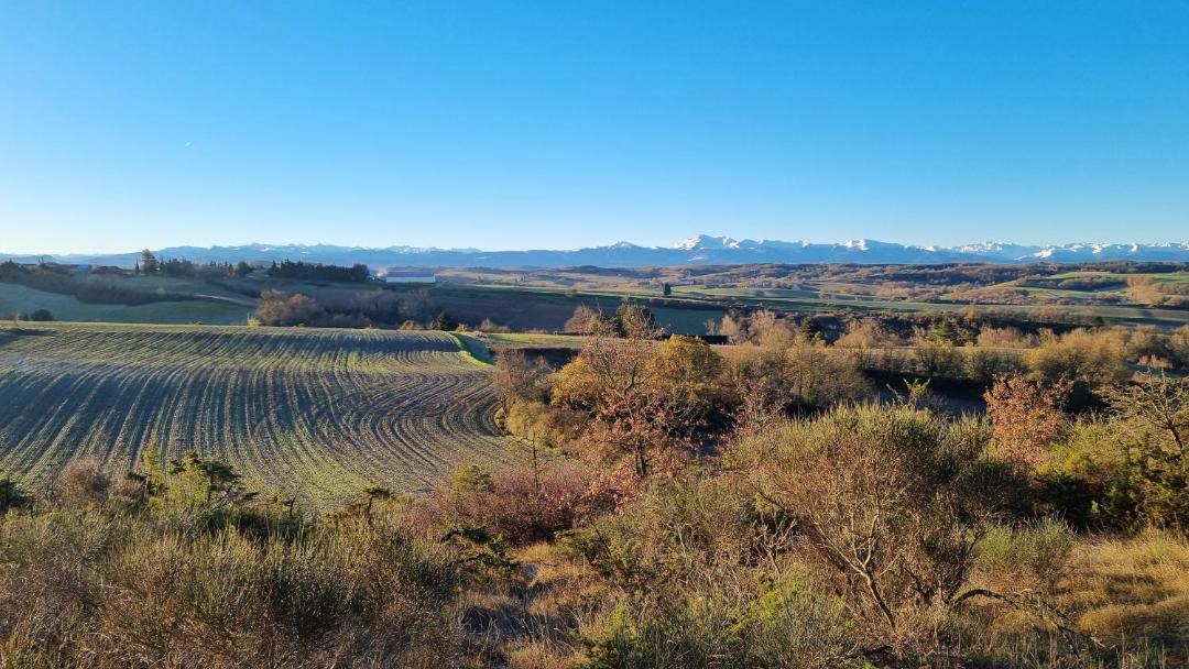 Photo of Others in Hounoux