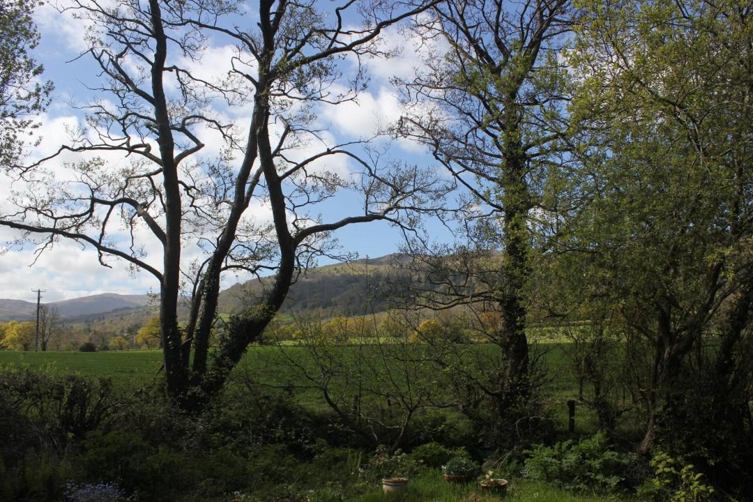 Photo of Others in Henryd