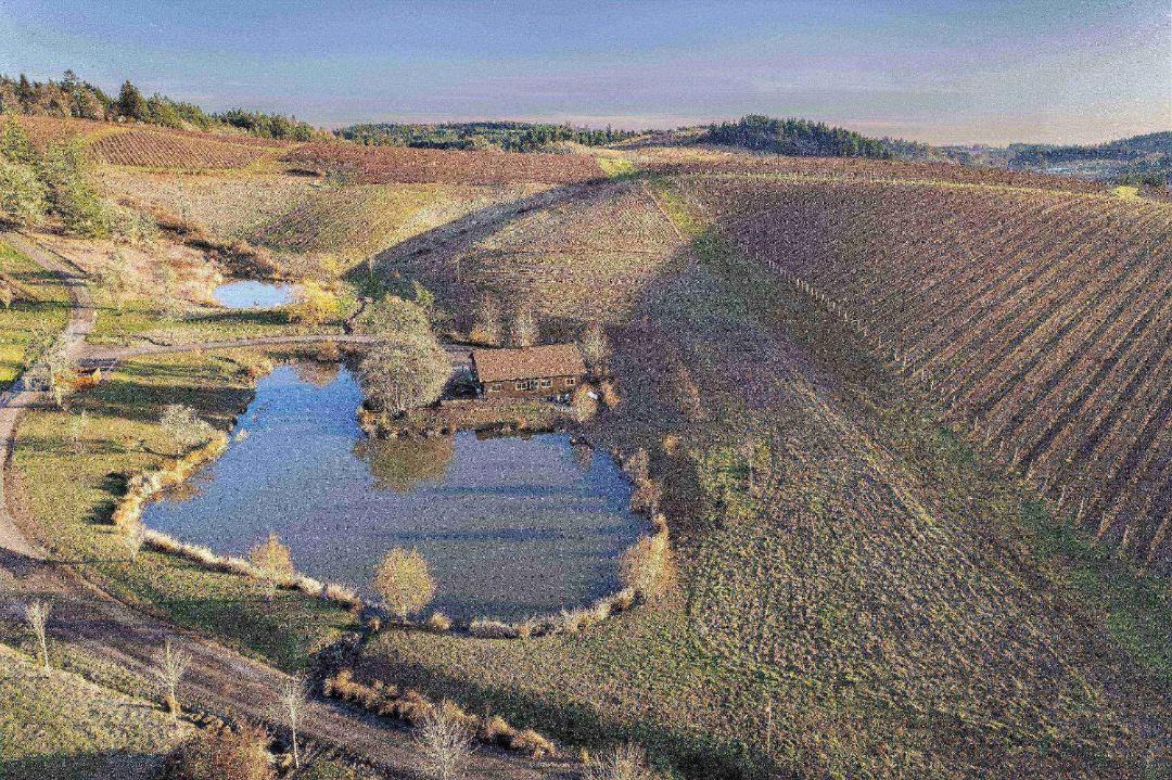 Photo of Others in Yamhill