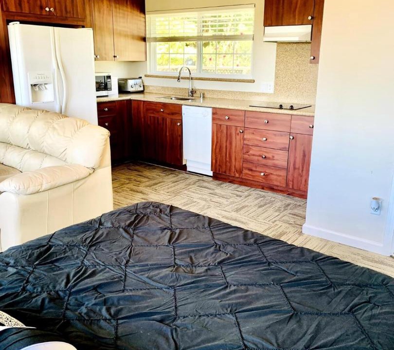 Photo of Others in East San Jose