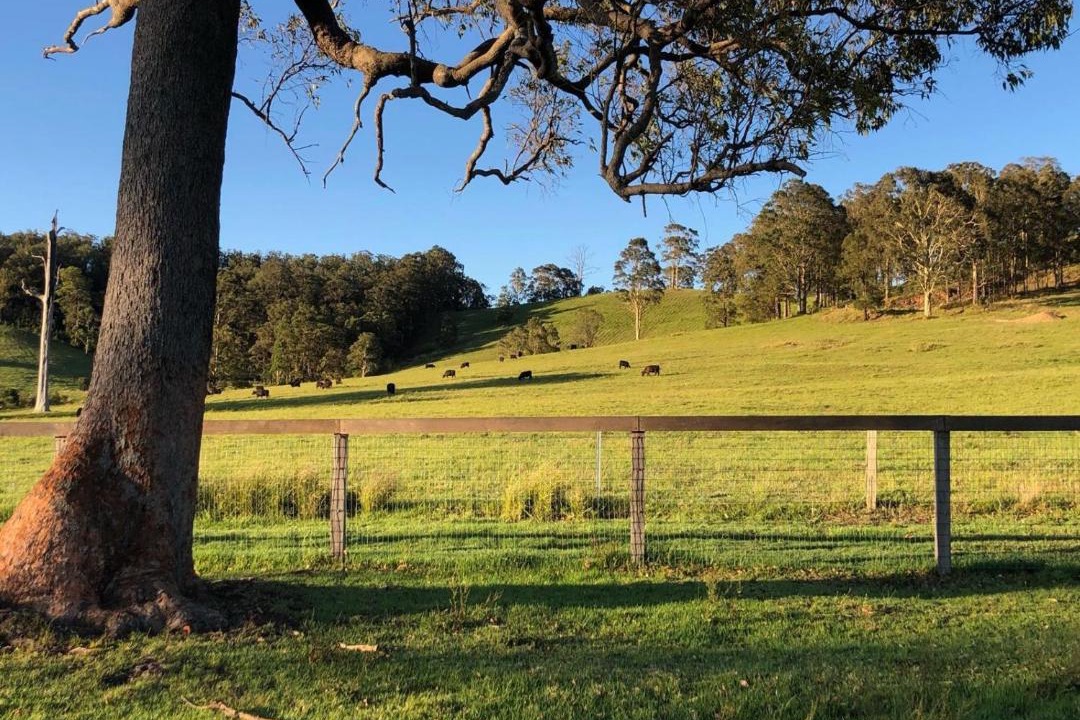 Photo of Others in Minimbah