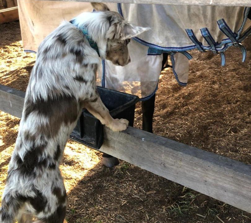 Photo of Others in Minimbah