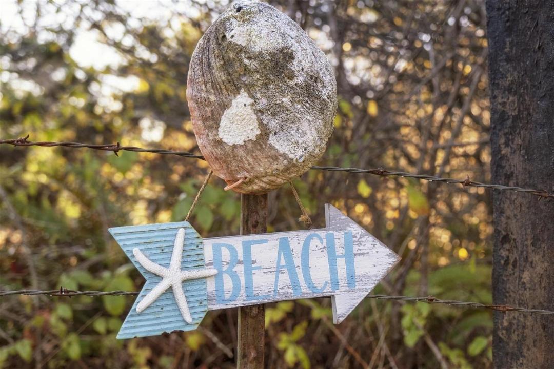 Photo of Others in Fort Bragg