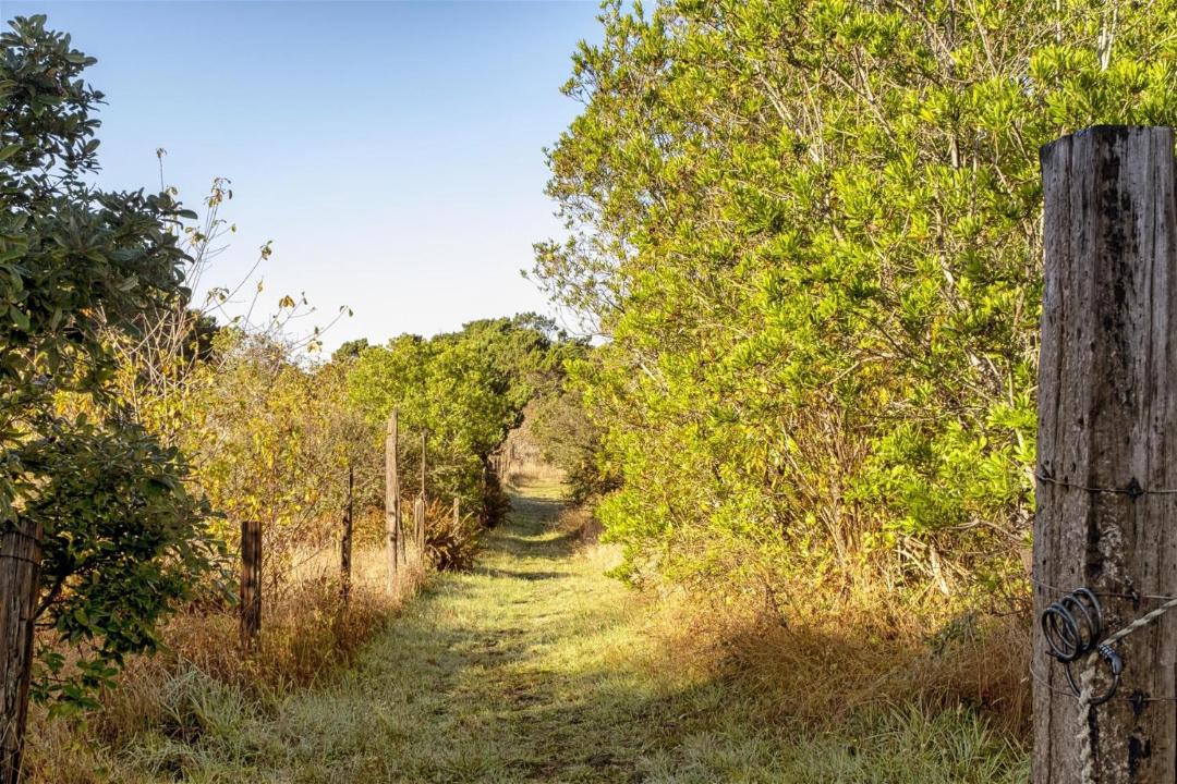 Photo of Others in Fort Bragg