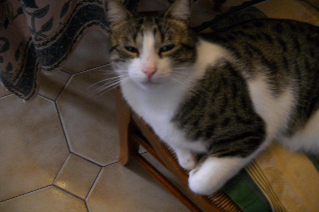 Photo of Others in Podensac