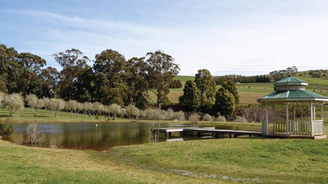 Photo of Others in Musk