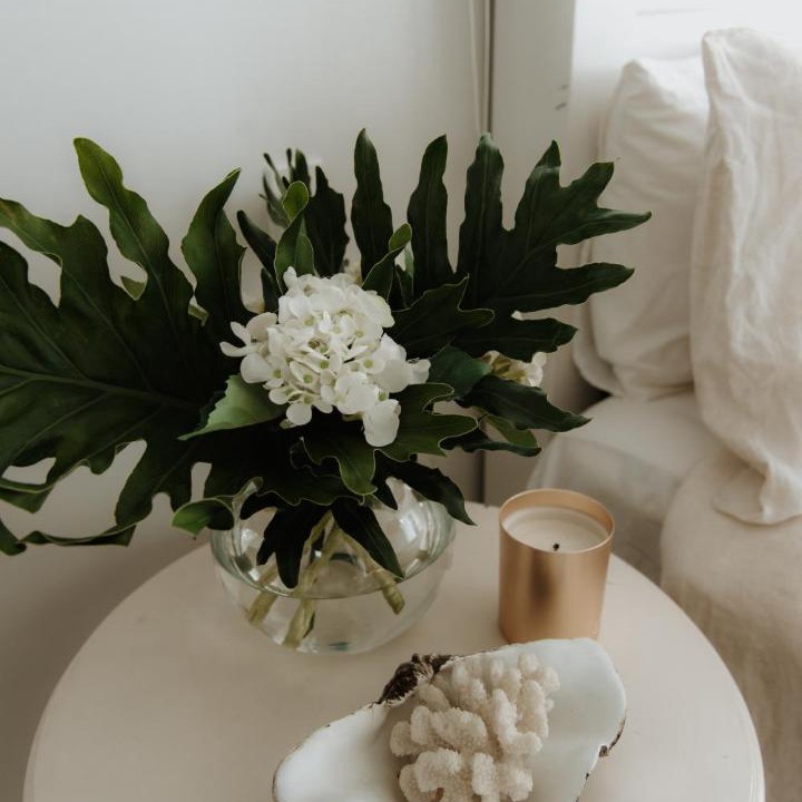 Photo of Others in Manly