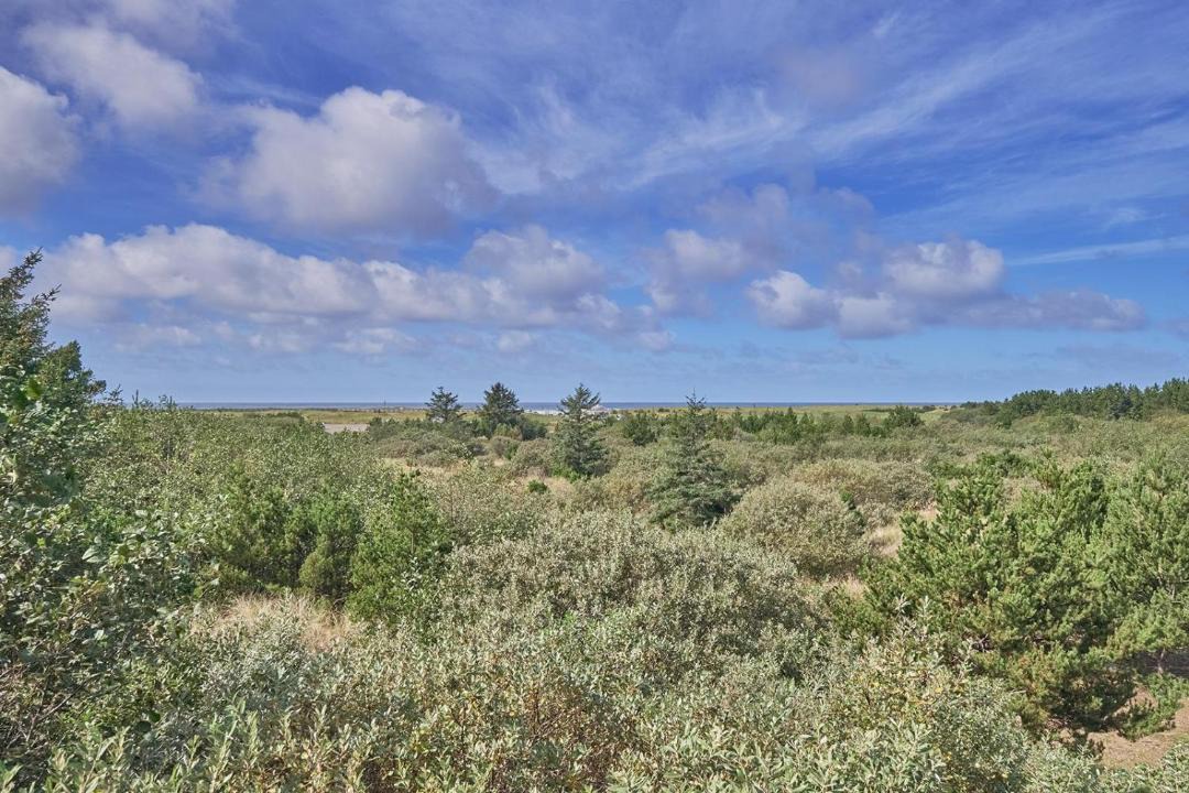 Photo of Others in Long Beach