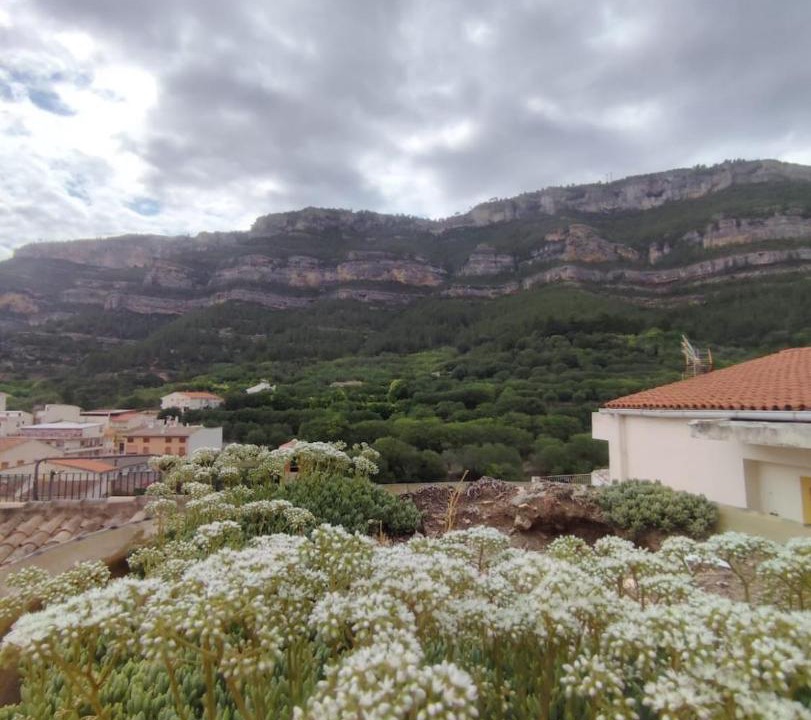 Photo of Others in Cortes de Pallas