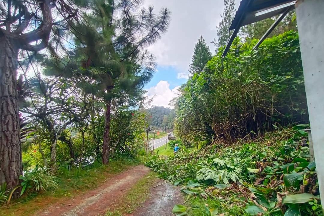 Photo of Others in Kundasang