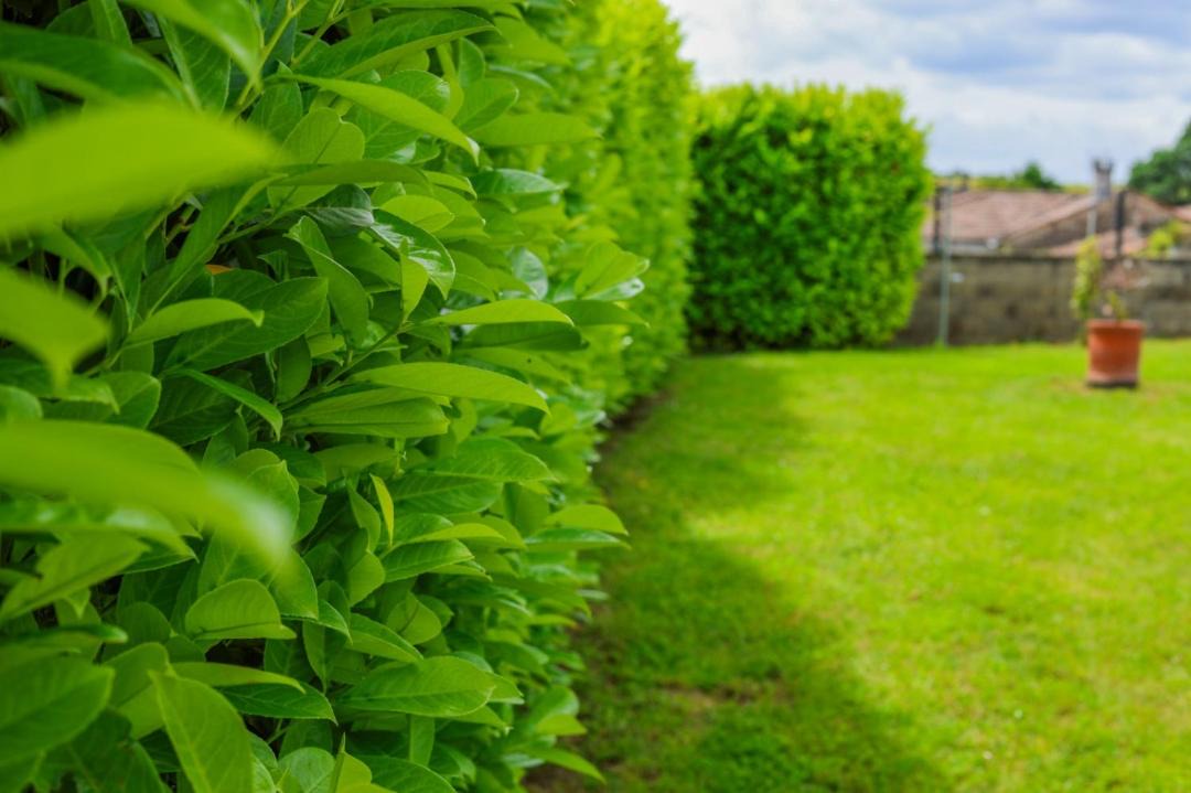 Photo of Others in Belluire