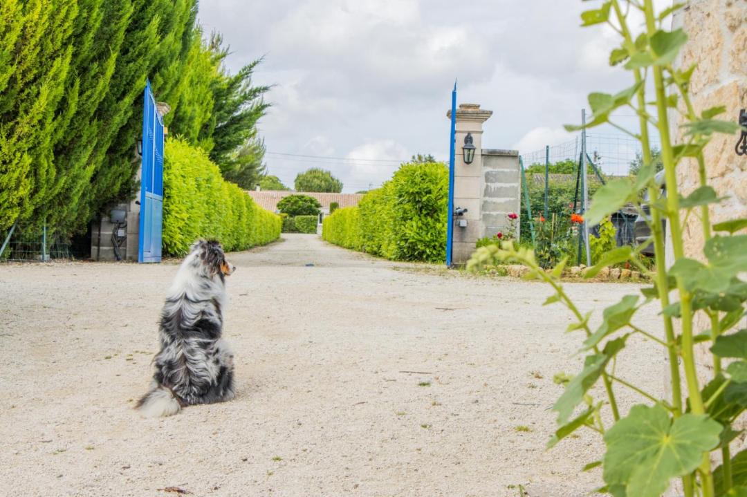 Photo of Others in Belluire