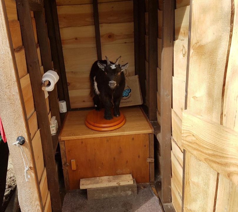 Photo of Bathroom in Ewhurst Green