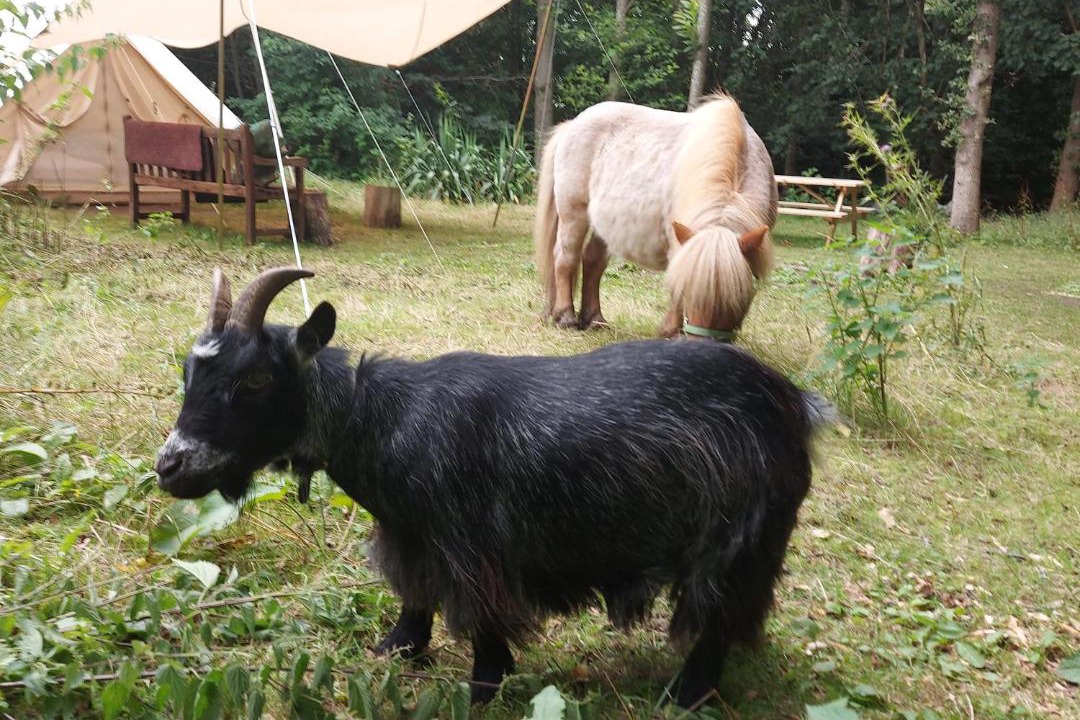 Photo of Others in Ewhurst Green