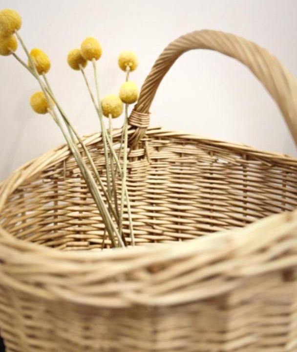 Photo of Others in Mugga Downs