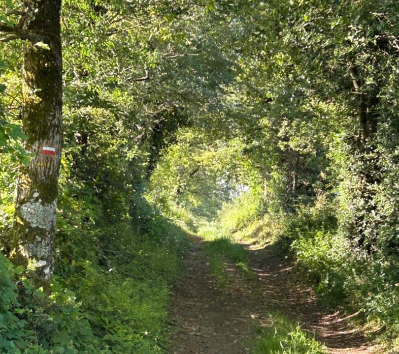 Photo of Others in Noailhac