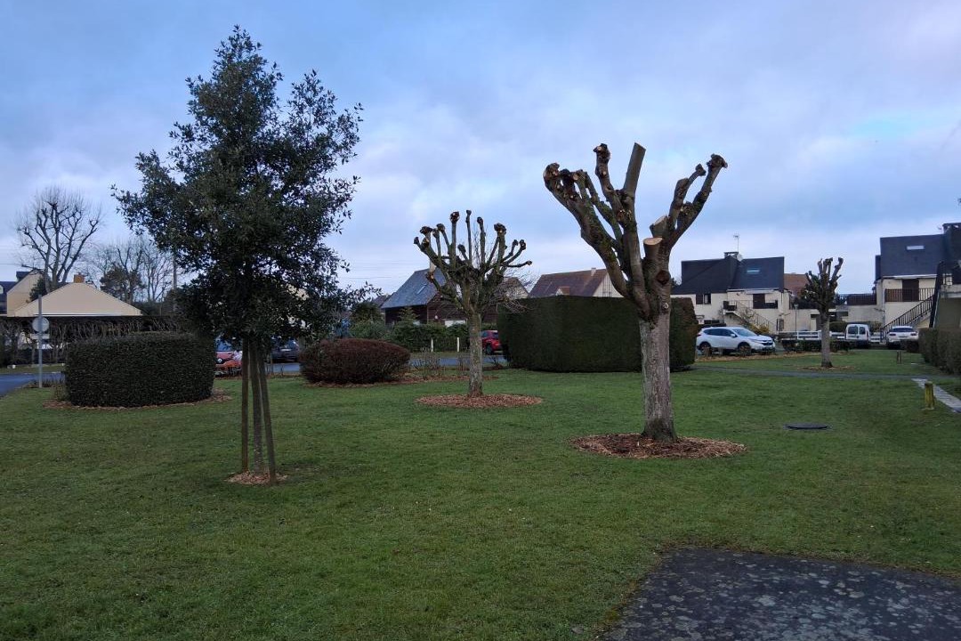 Photo of Others in Merville-Franceville-Plage