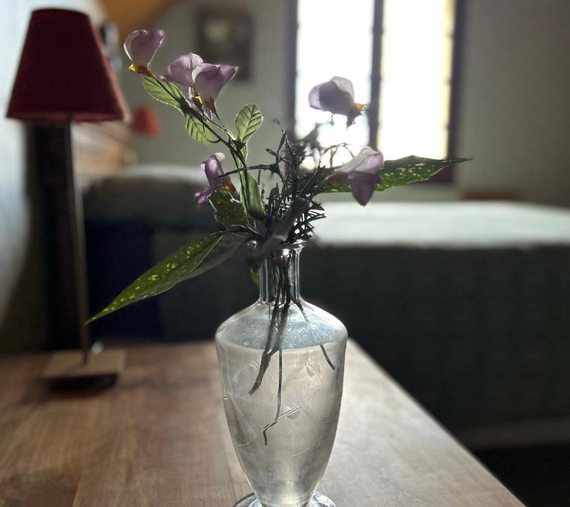 Photo of Others in Saint-Estephe