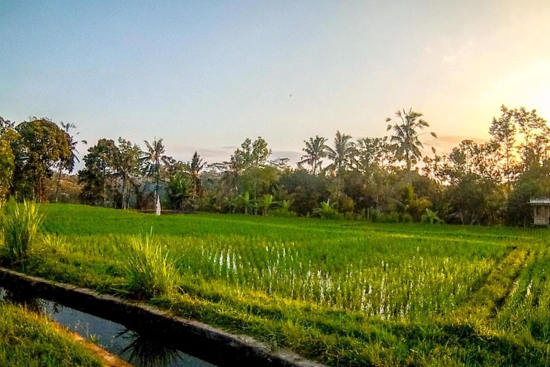 Photo of Others in Kedewatan