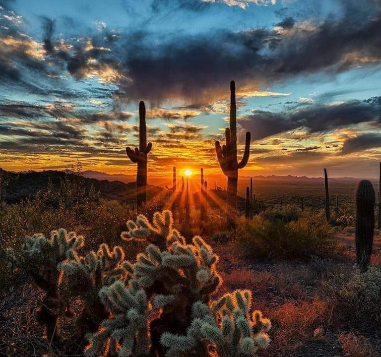 Photo of Others in East Mesa