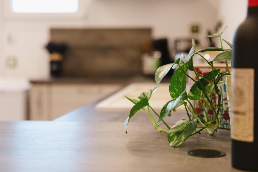 Photo of Kitchen in Saint-Martin-des-Entrees