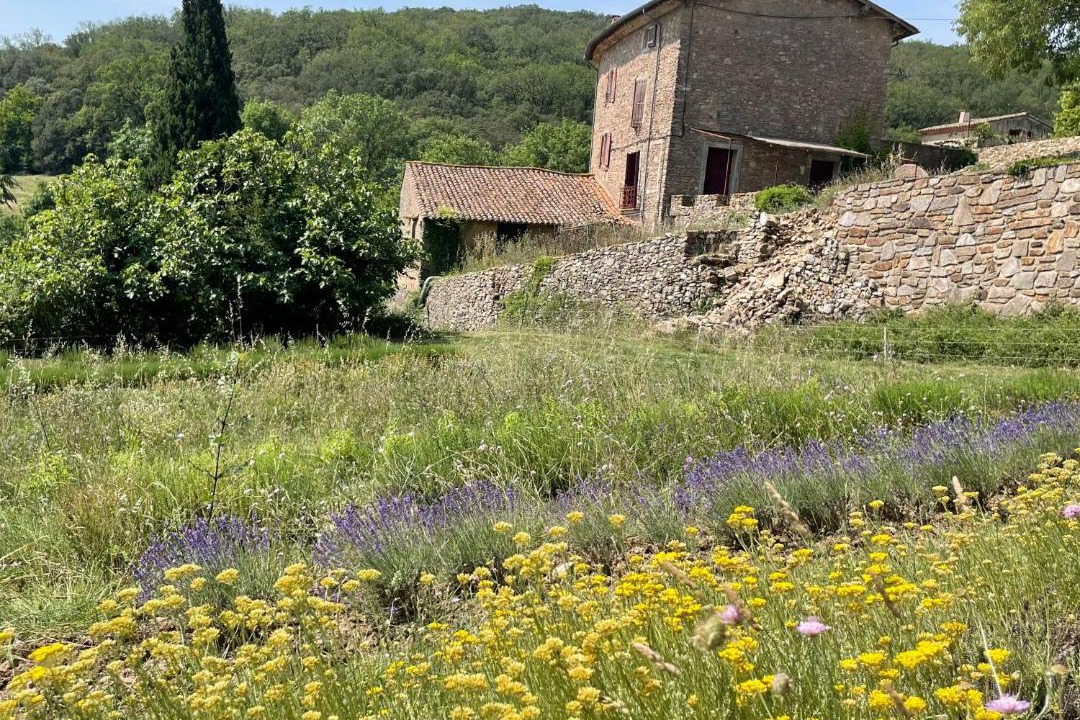 Photo of Others in Pezenes-les-Mines